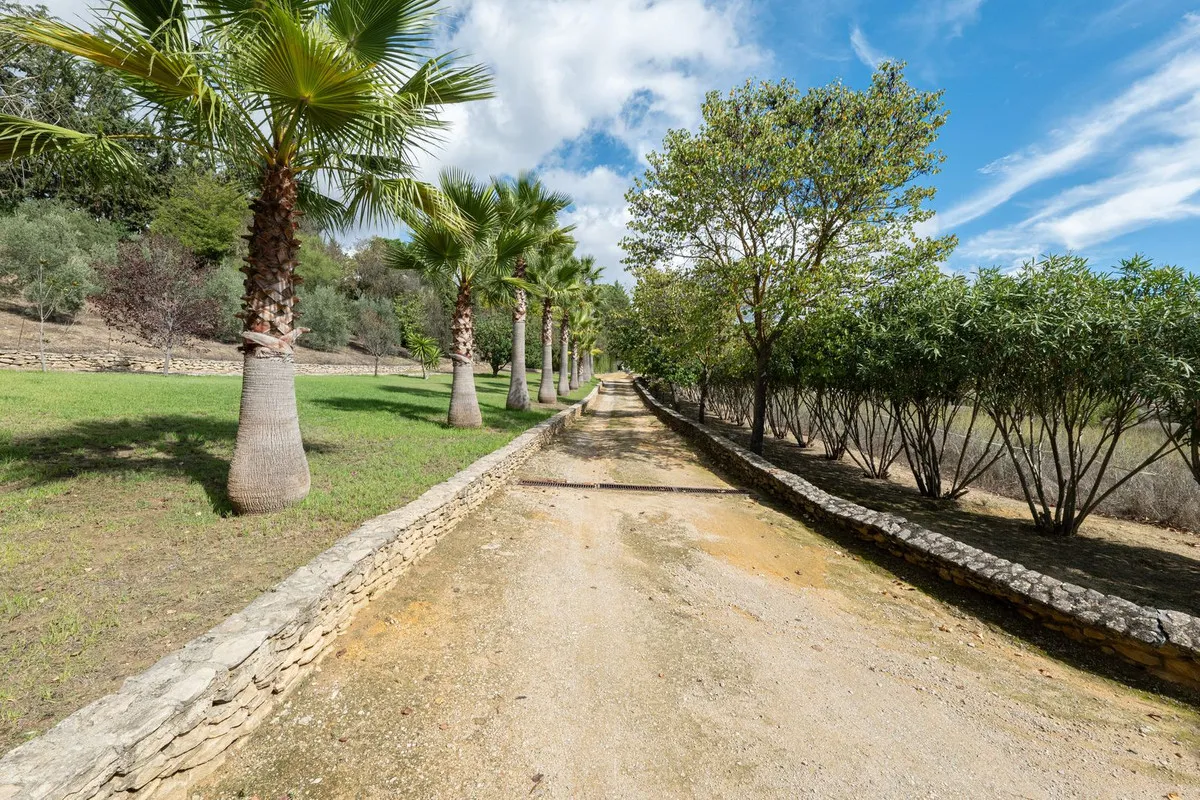 a4a60286-cbf4-45e4-b620-bc13a68f6be4