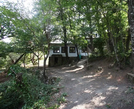 4129f221-95a6-4028-a4a4-c24815a3746b