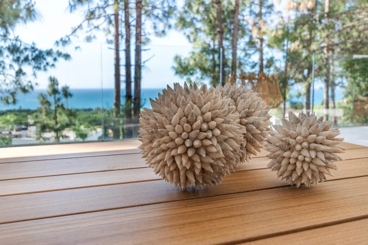 2b029975-988f-49a1-96cd-935900f8205c