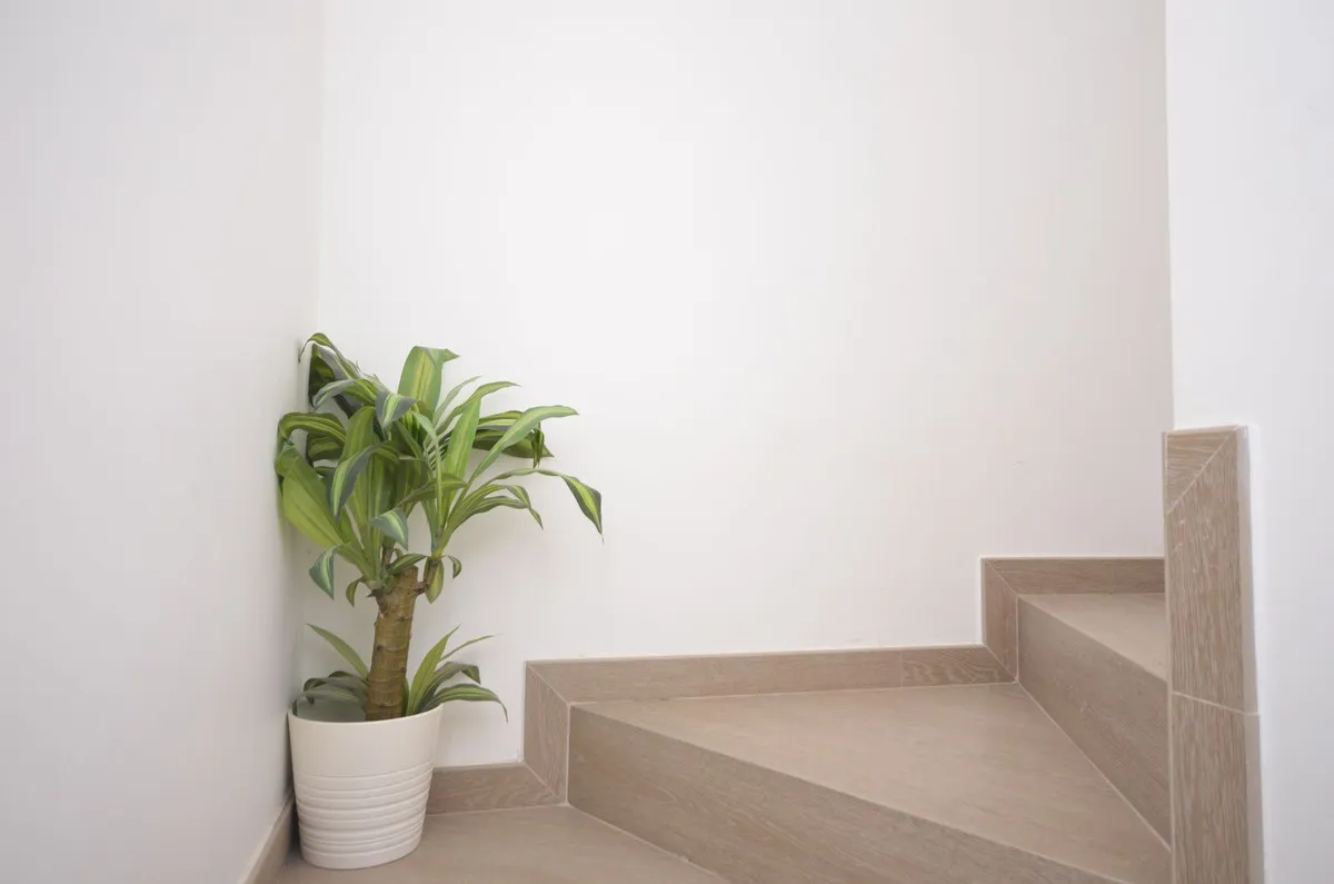 2f1f8ef0-1d4f-4b22-aabf-2e9dfd9039fb