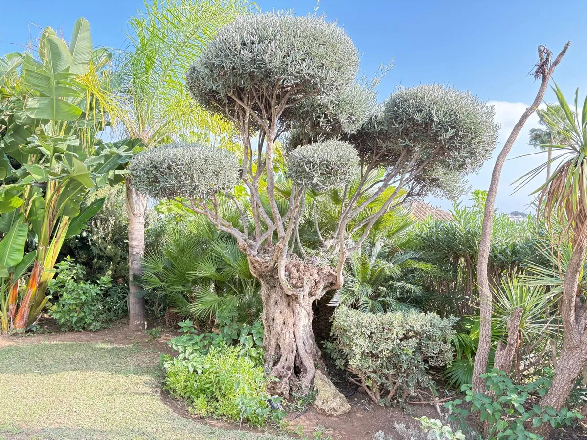 5d9e23bd-8082-4179-97cd-f1e8c1f74f4e