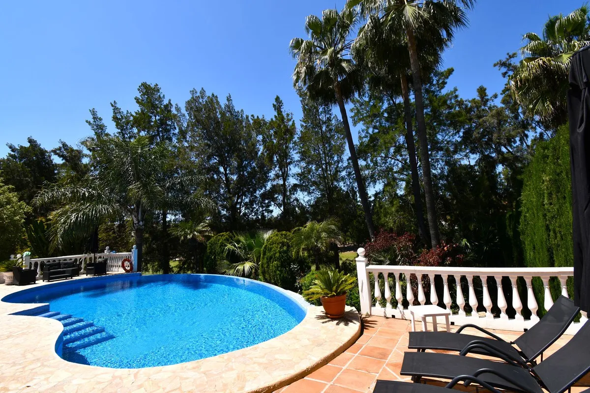 1d546772-a0f3-474a-8fa5-c9bfd50e6e40