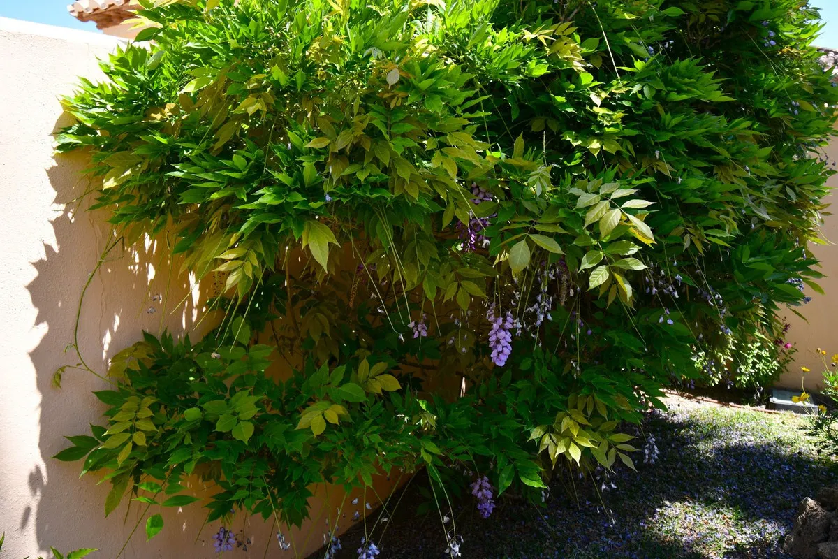 3a0207d9-1a80-4d4b-9f8b-2b87e314a6eb