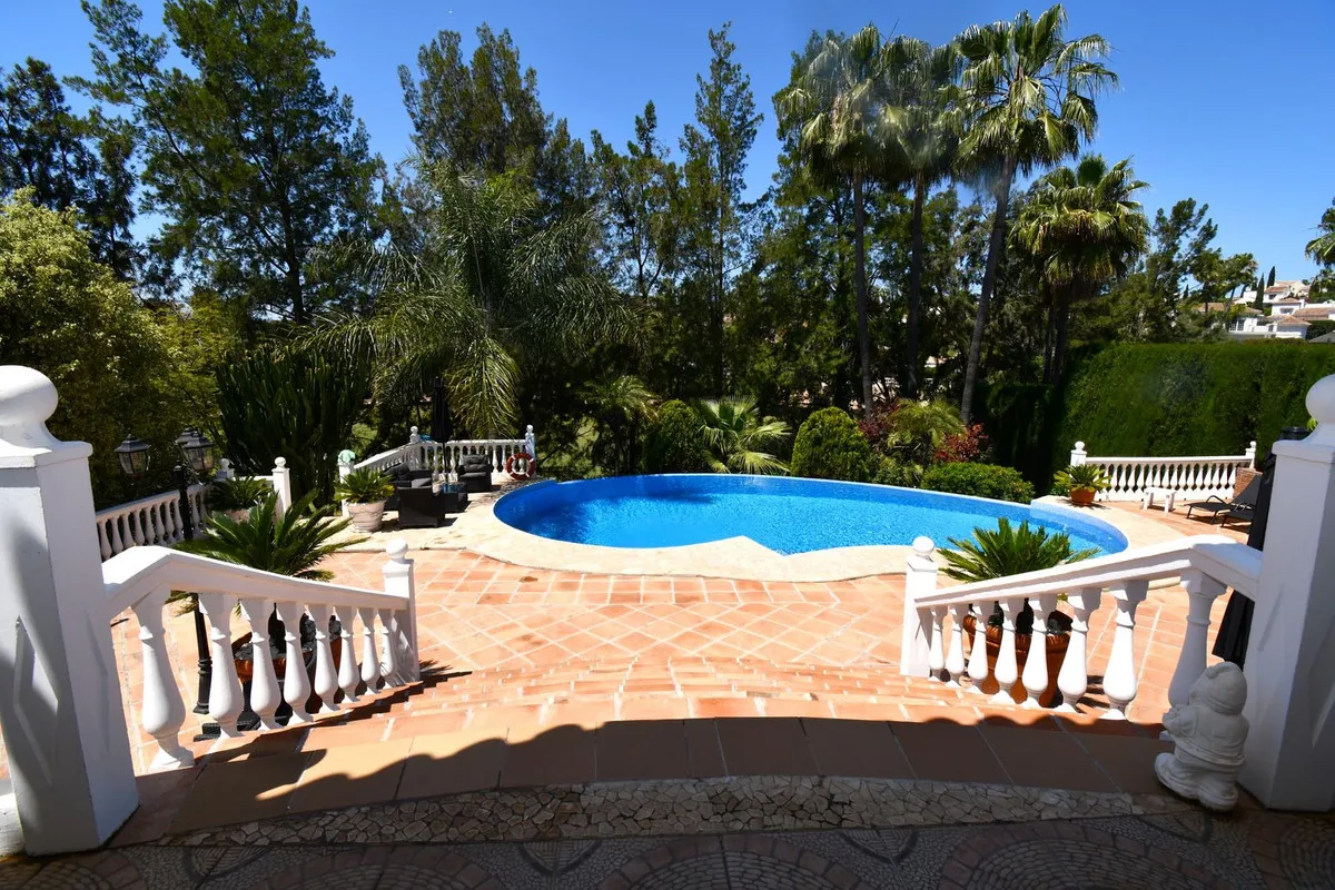 d4971106-31b5-49e9-abea-e594694049ed