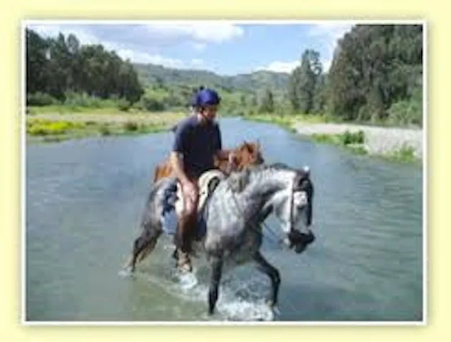 0d1bf9cc-6587-4896-9d1a-536b31cdbac2