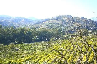 0d438999-c7ae-4c30-9032-941d5c081c19