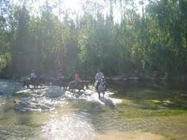 821c6d20-86d4-4d3a-a1b0-ee37d15efb2a