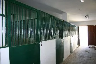 e8b50cf9-0a30-493d-9f75-304b3d3201ac