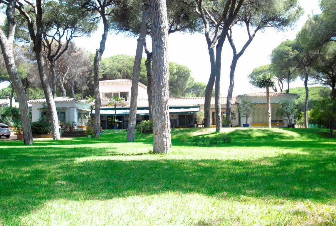 57834920-0f59-4b0f-82e3-ed3f3b900d46