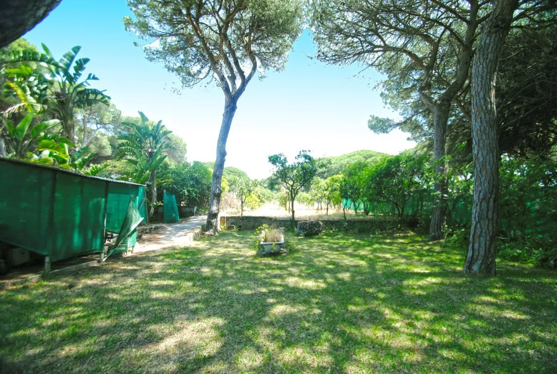 7a68f5c5-65a6-4ea1-911b-59808566e9ab