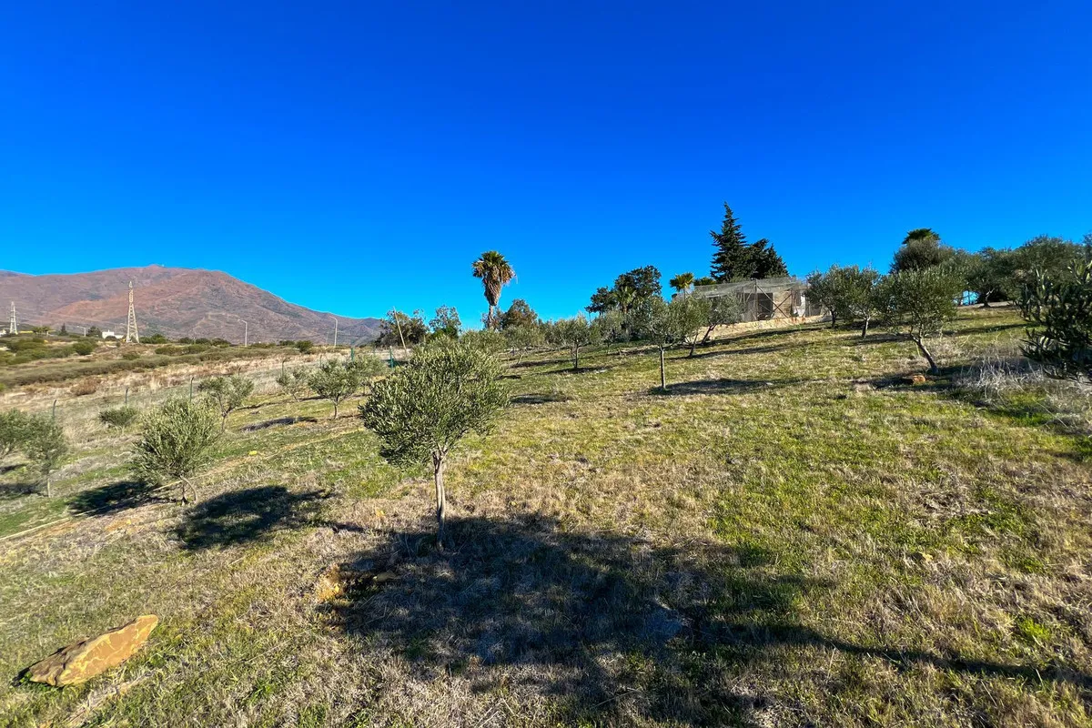 1692db1b-81bc-44f4-a41e-78312b47fbe3