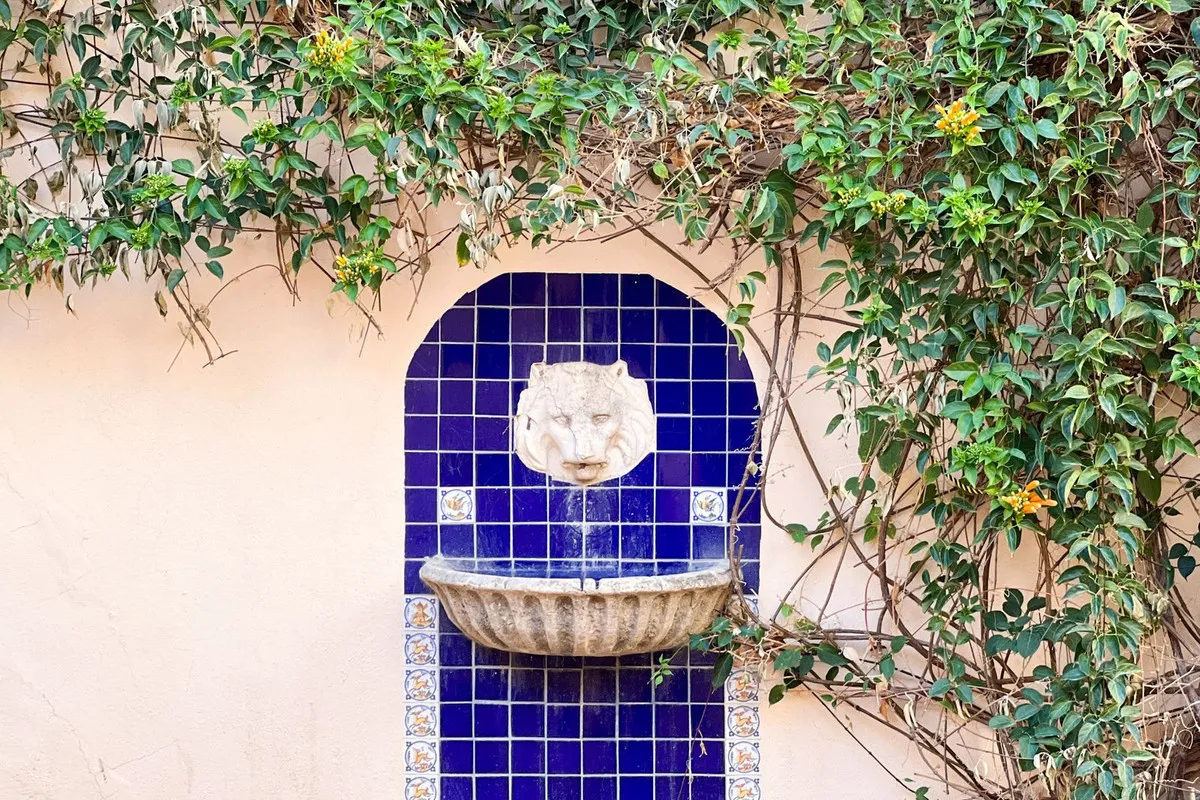 c876b848-39be-4419-a9e7-5e09dff25ad8