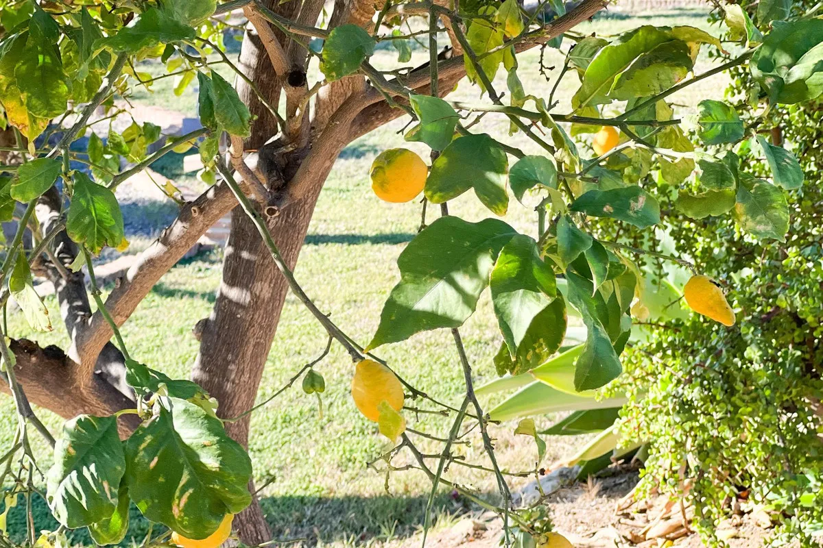 ceaae341-92d9-4944-a409-4ef4b4e97151