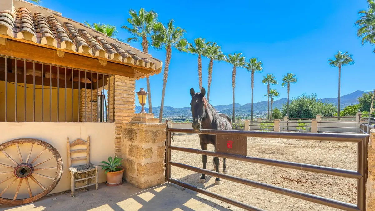 d89b1f82-f354-4bce-a4af-3e6341c49900