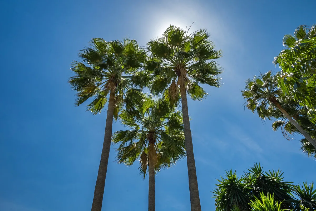 33f0e81a-030d-4053-b4bc-cd4f94899f64