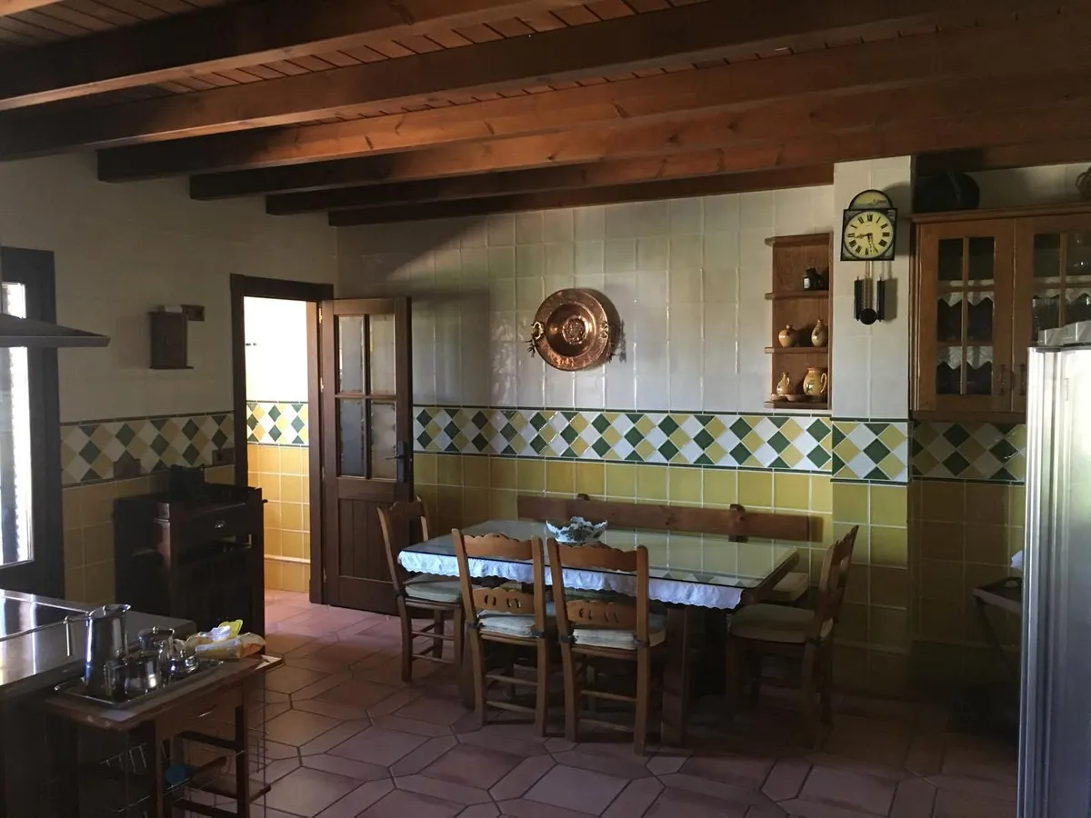 297bd848-2f2d-4608-b386-b3ac66e99164