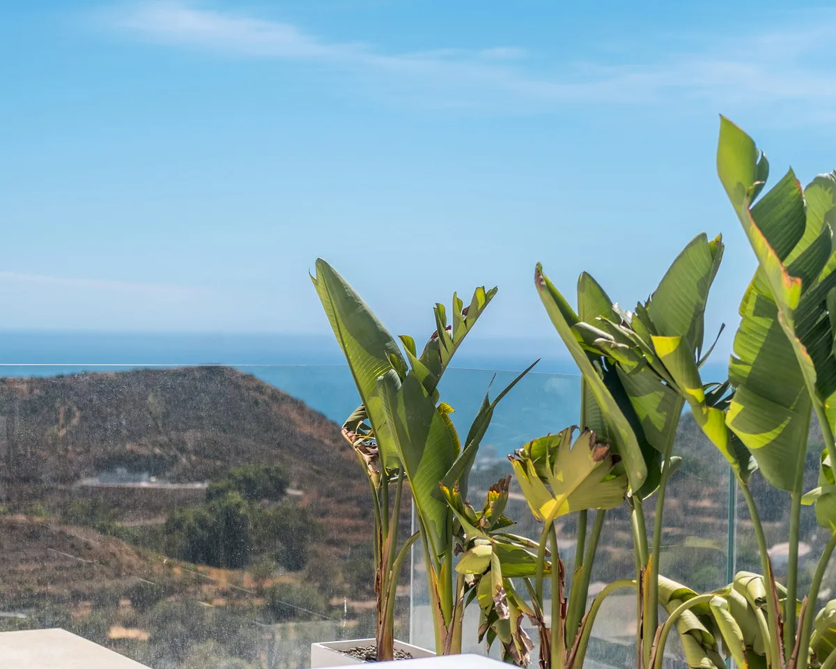 e0599348-be6f-45a9-9dd8-4b218115082d