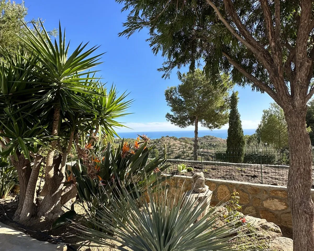 5537eb74-e0f0-4c11-9ce5-ed7ed7e6d6ce