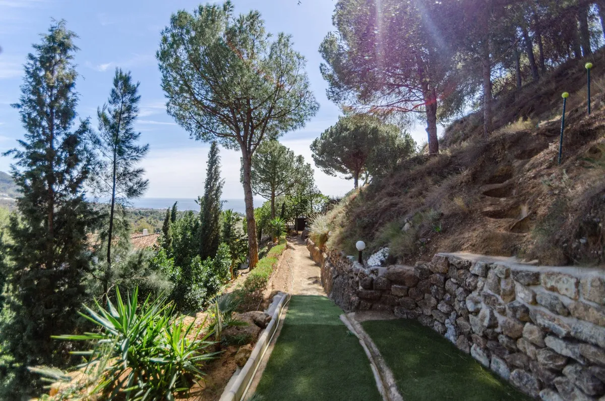 95f1a2ed-e5a4-41f0-b3ba-86b8f5b35ba4