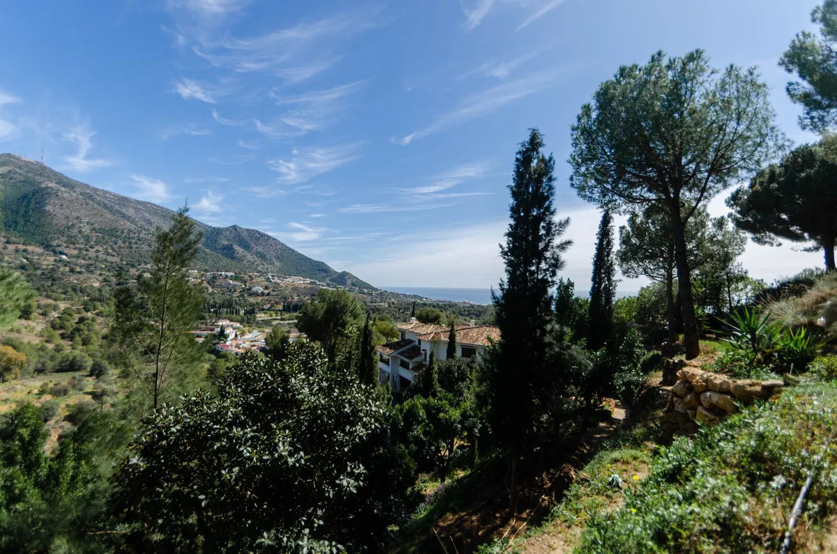 a7b9ddb2-4ff3-4801-9bd5-5dbc36408dcc