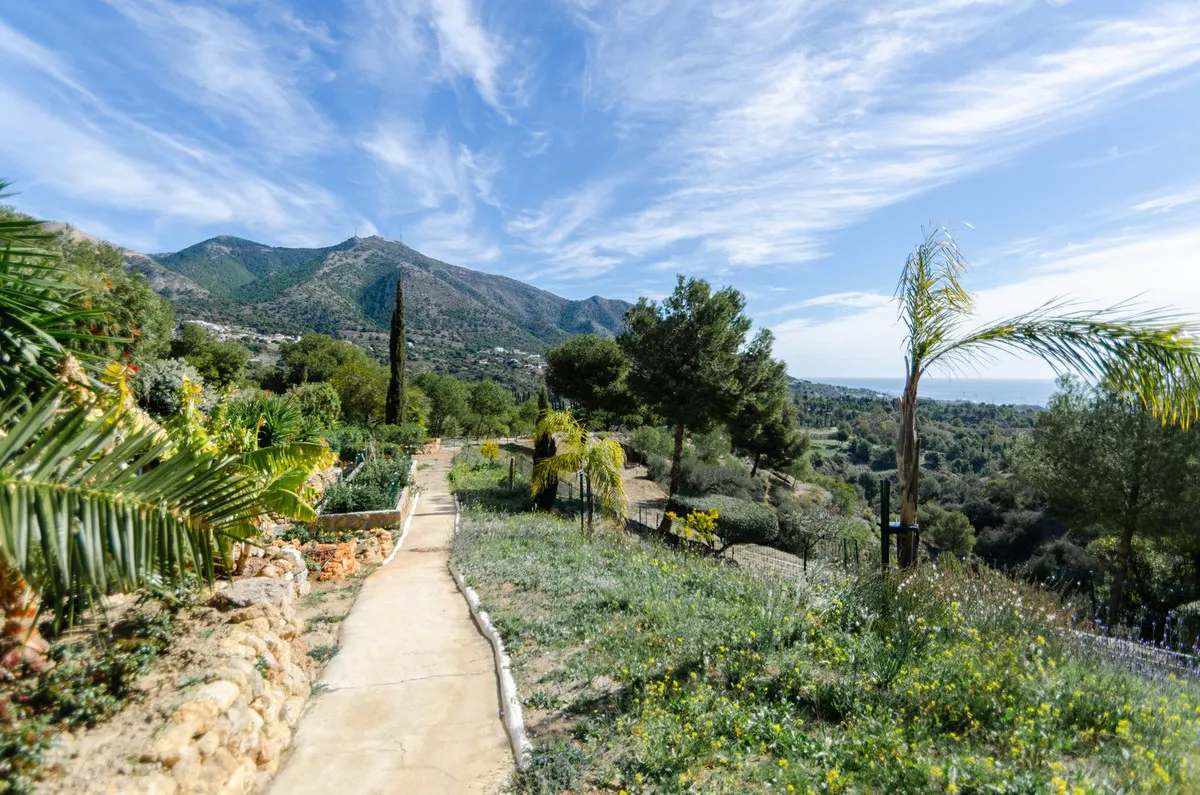 e67e114d-0e5b-4424-bcf3-1dc3cff3e41b