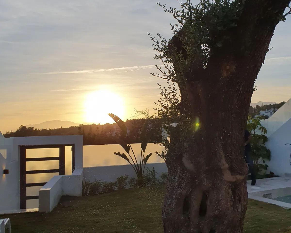 a9dba70c-a7a6-4875-bfd5-4dda2a3e80a4