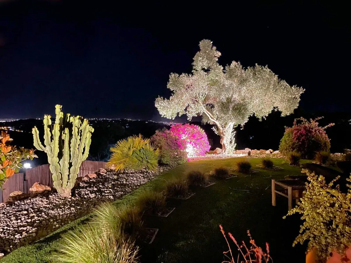 cef5eac2-a2c7-4fa7-aefa-dd0079cca4e5