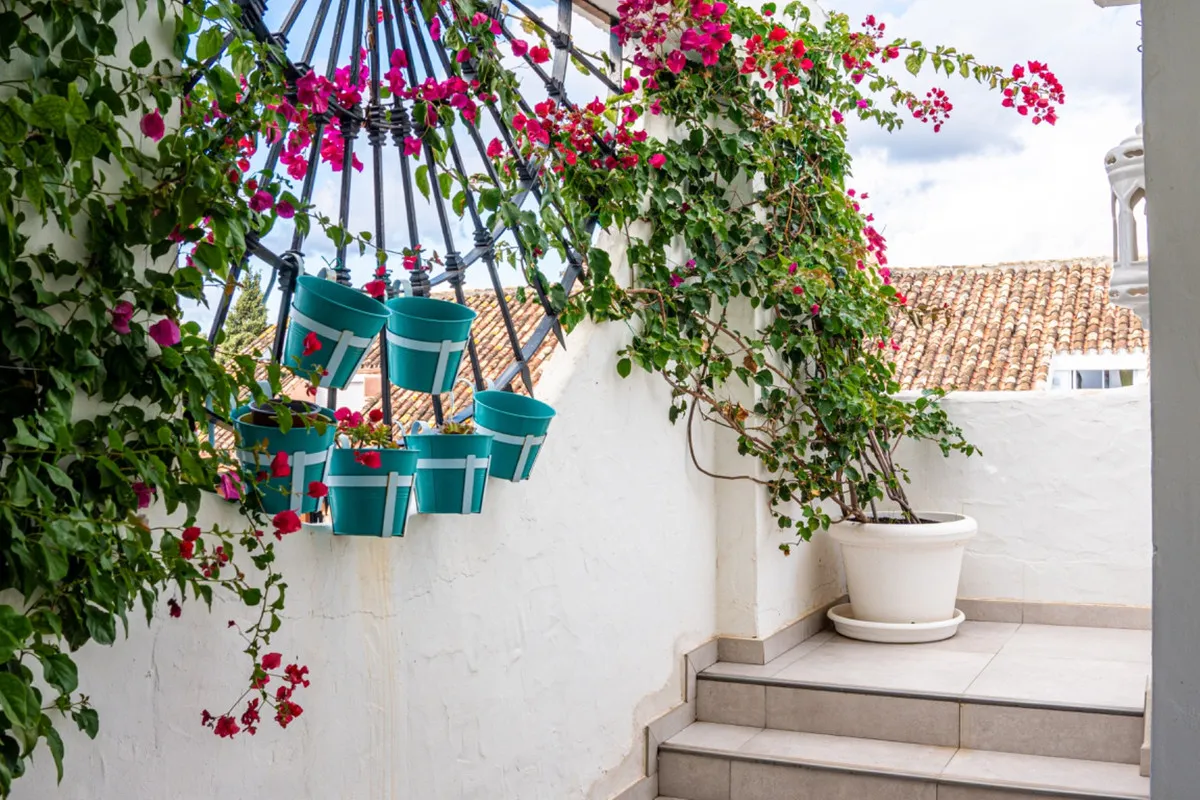 31dc3695-d0ac-4bb7-8187-1824c460f582