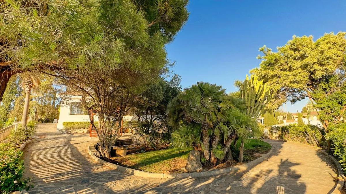 255a3ad9-4cf7-4112-8f72-f08132e254ce