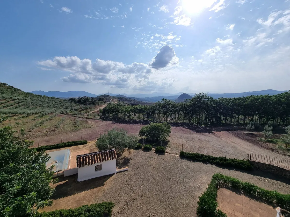 294d50a1-6a36-461d-a726-c28744d1d675