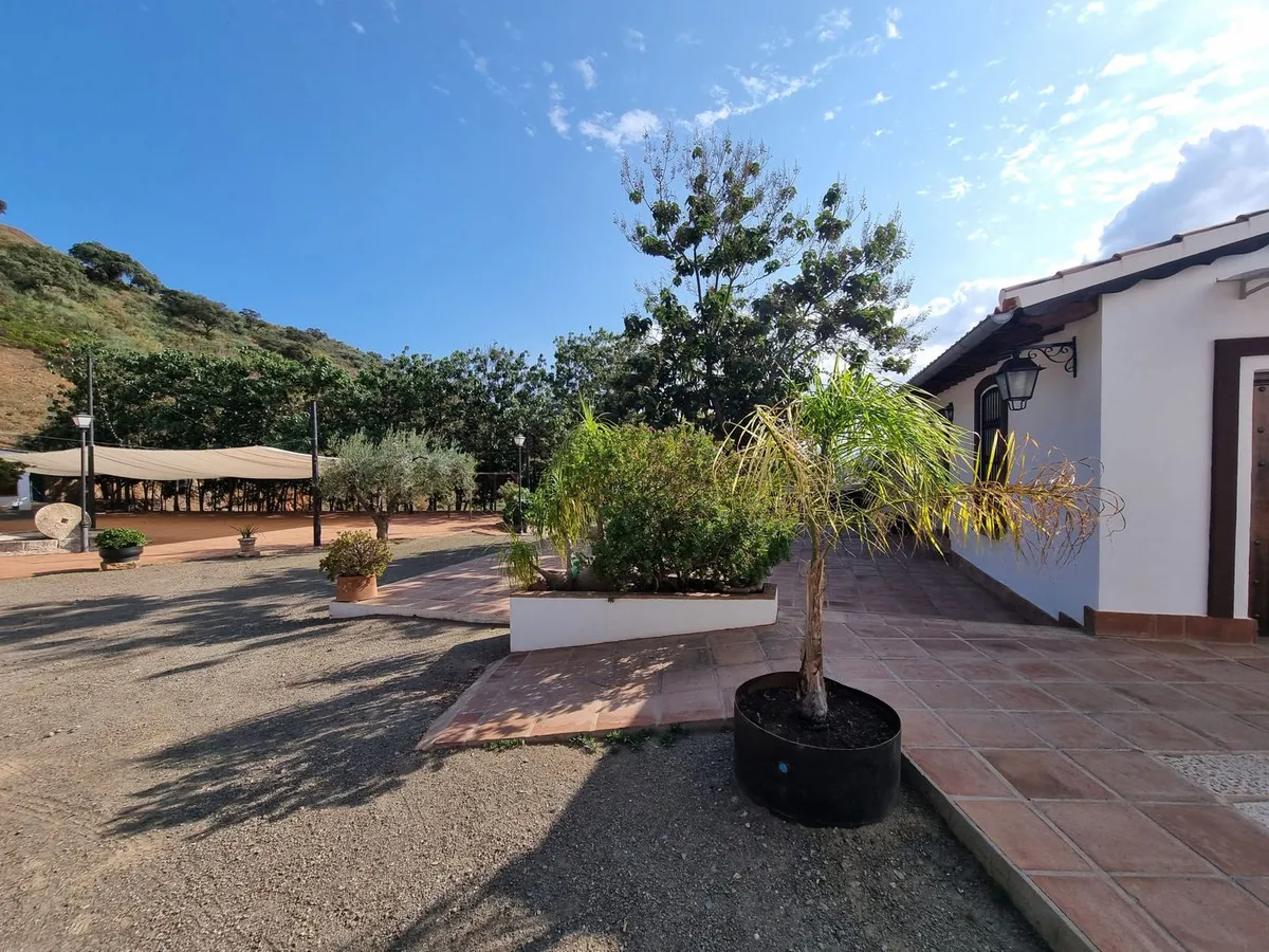 675a28d1-31f4-4129-88d2-f74dfdc88e4d