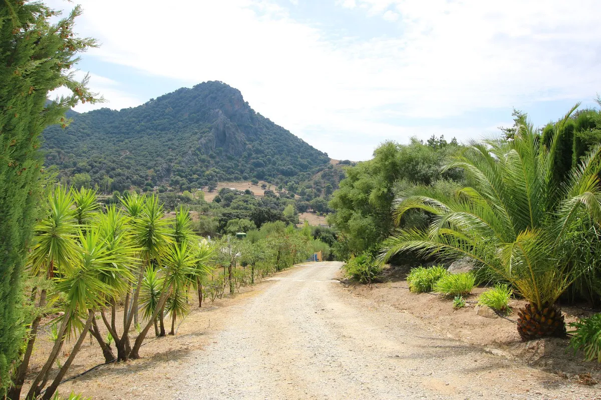 0a62c902-0d00-47f4-8881-641c7fc66649