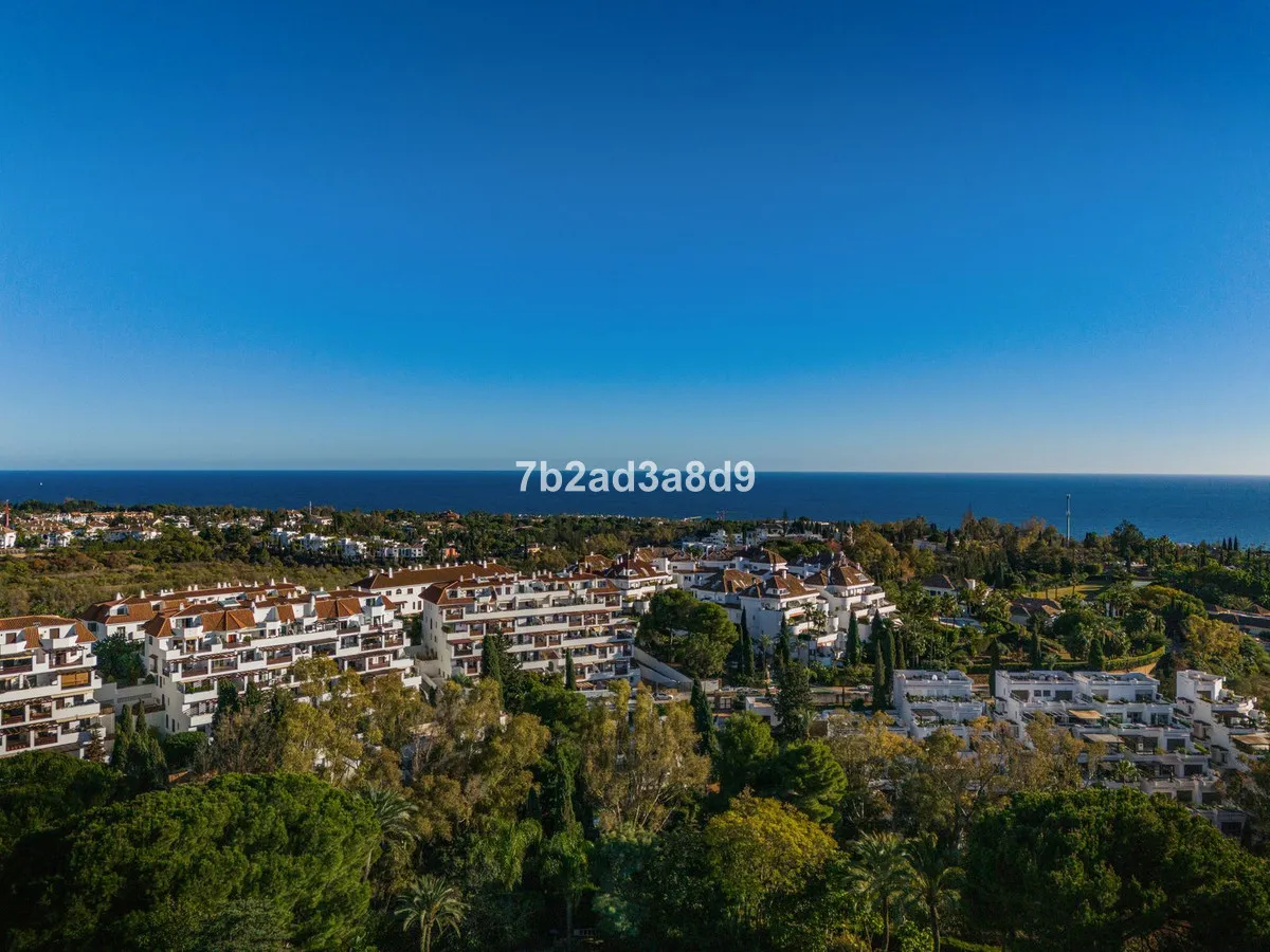 fb776926-13dc-4ed9-85d5-6f8dadf0eefd