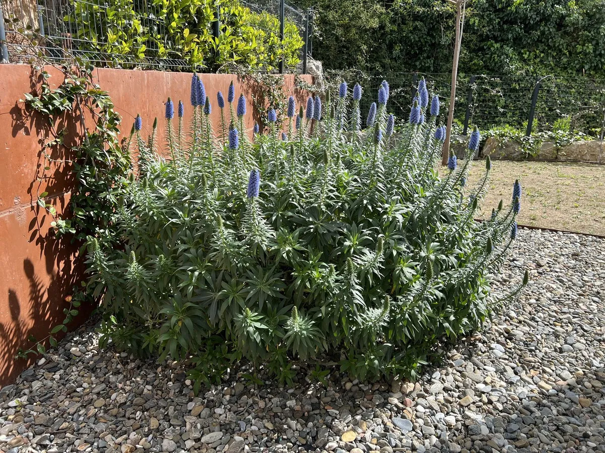 28750c15-4fa0-4b29-9e40-54593006eef3