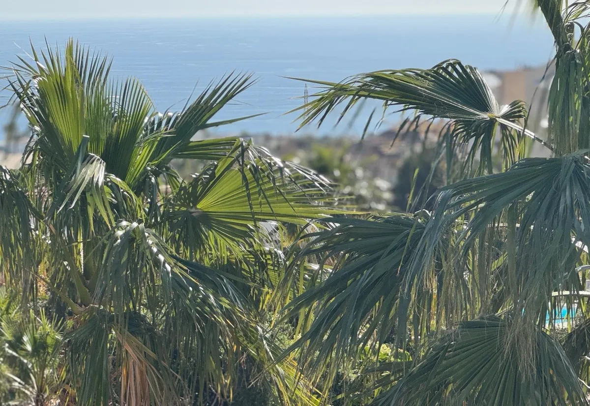 2ab01962-f07c-47dd-b3e1-480433e60269