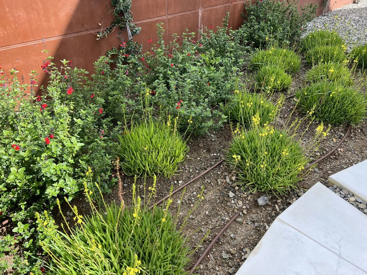 9ffd9d58-9603-4ce7-89b6-c656a95bda9b