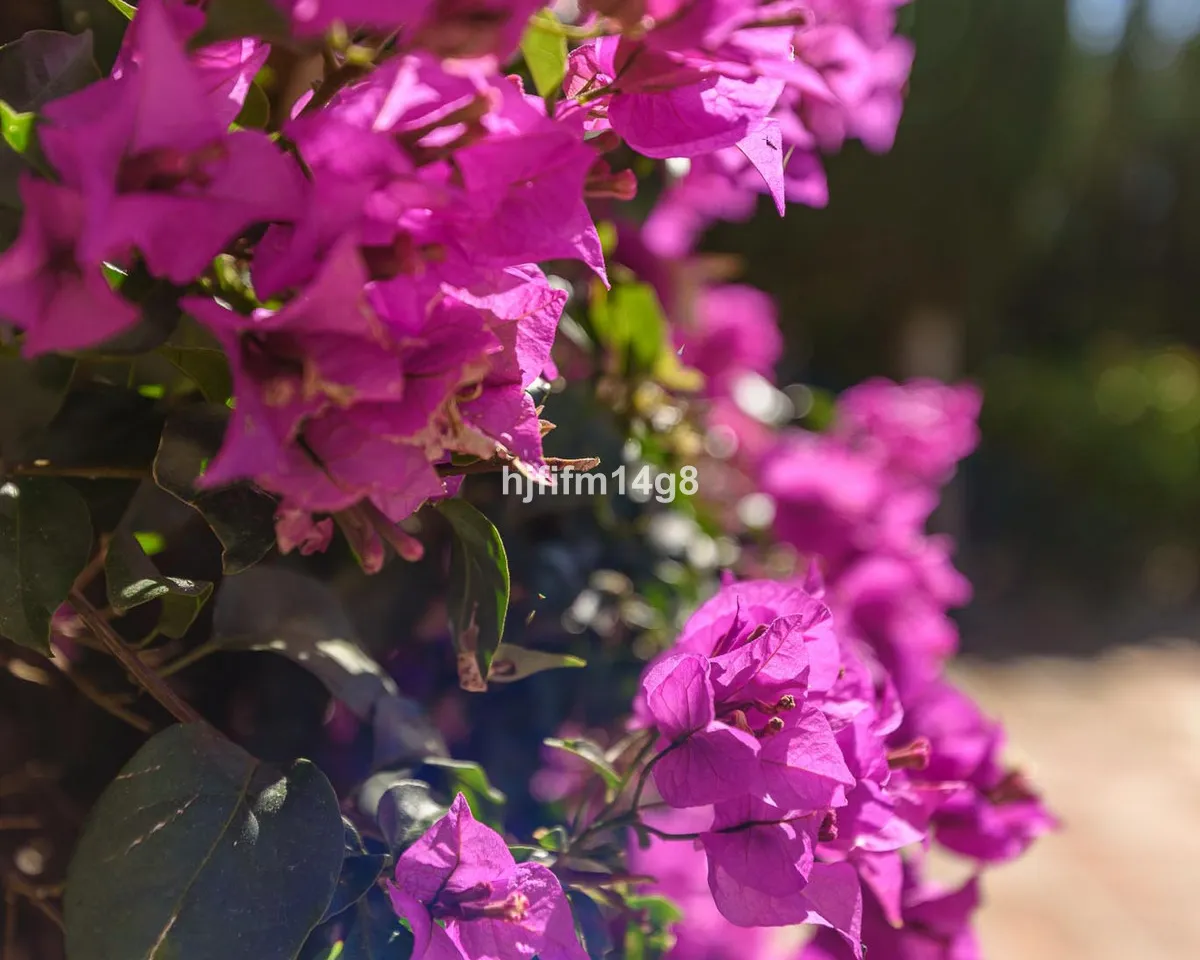 a381c3e5-c7e3-4423-9cda-1fb51dfac0cb