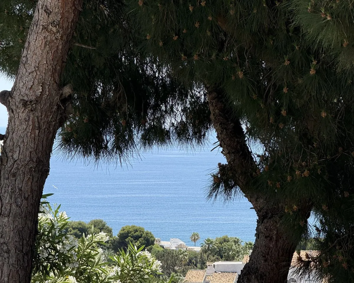 500e32c1-abf7-40ca-8d9d-d8c42f9c4f2b