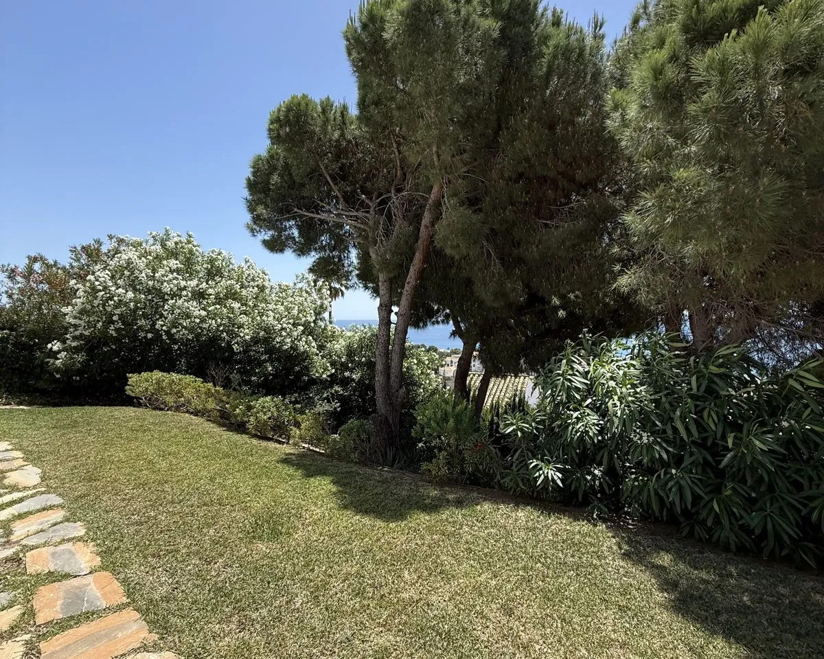 a9023689-b329-41e5-856b-f46f9a6e1b82