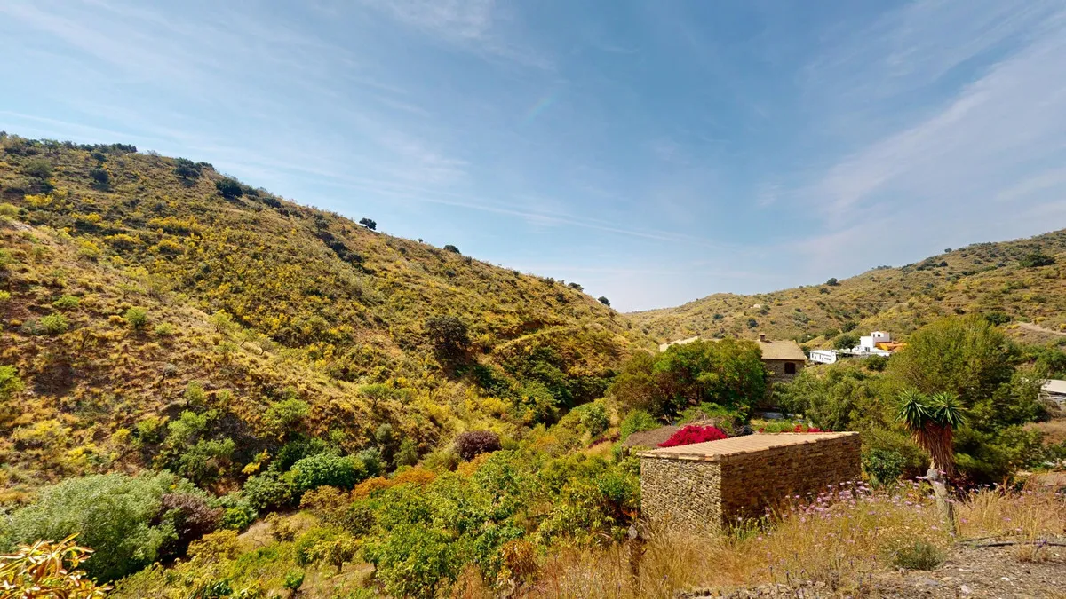 05f5e097-c120-4fab-aa35-d0f49d17d443