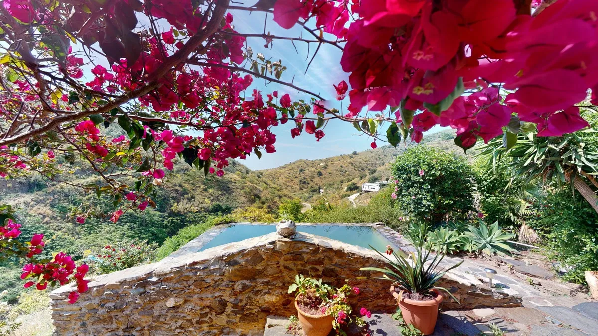 0bf8b963-89c6-406b-9d34-d861a82d613f