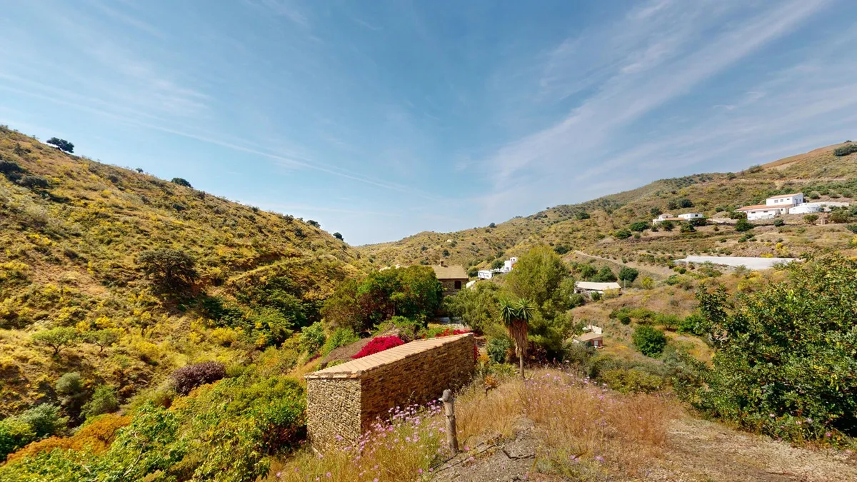 51d852f9-a163-458f-baad-0eb6f85a717c