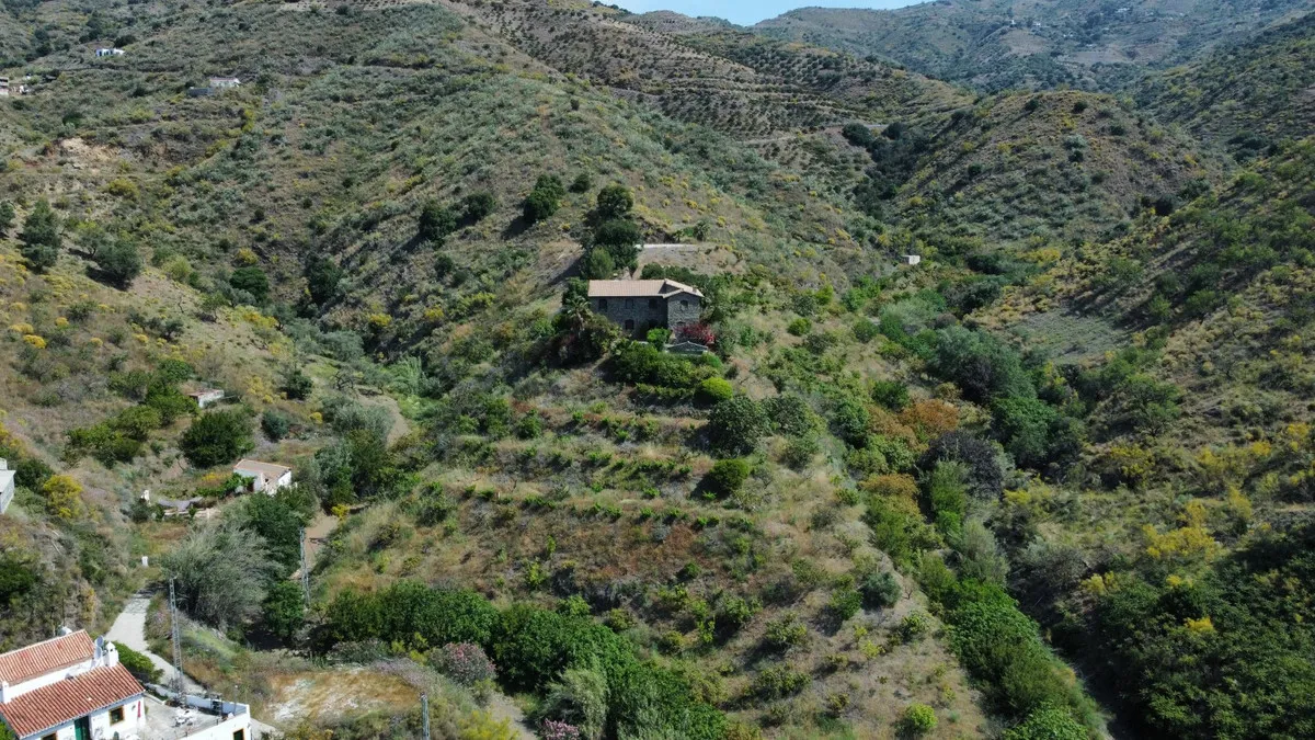 6af44d87-32ae-4a97-a02a-66b5f070869f