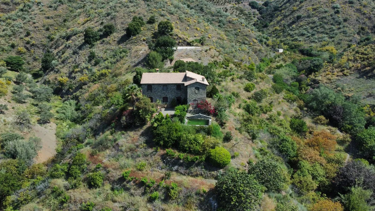 6c0d682d-75f1-4dee-98a7-f42456ddd79e