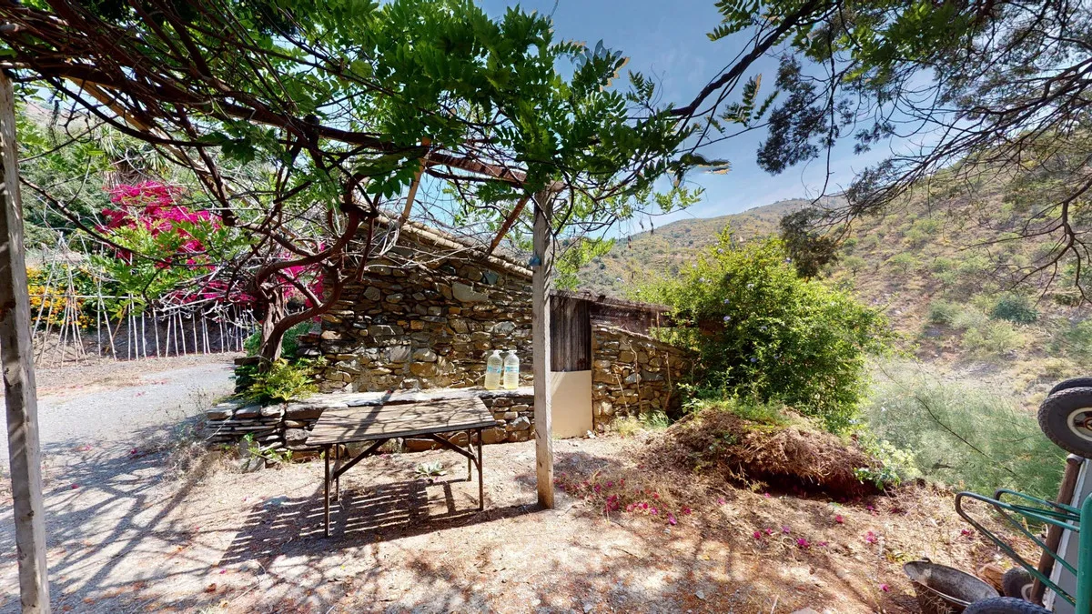 ef9fee38-542b-4d05-89a9-77bf682ca808