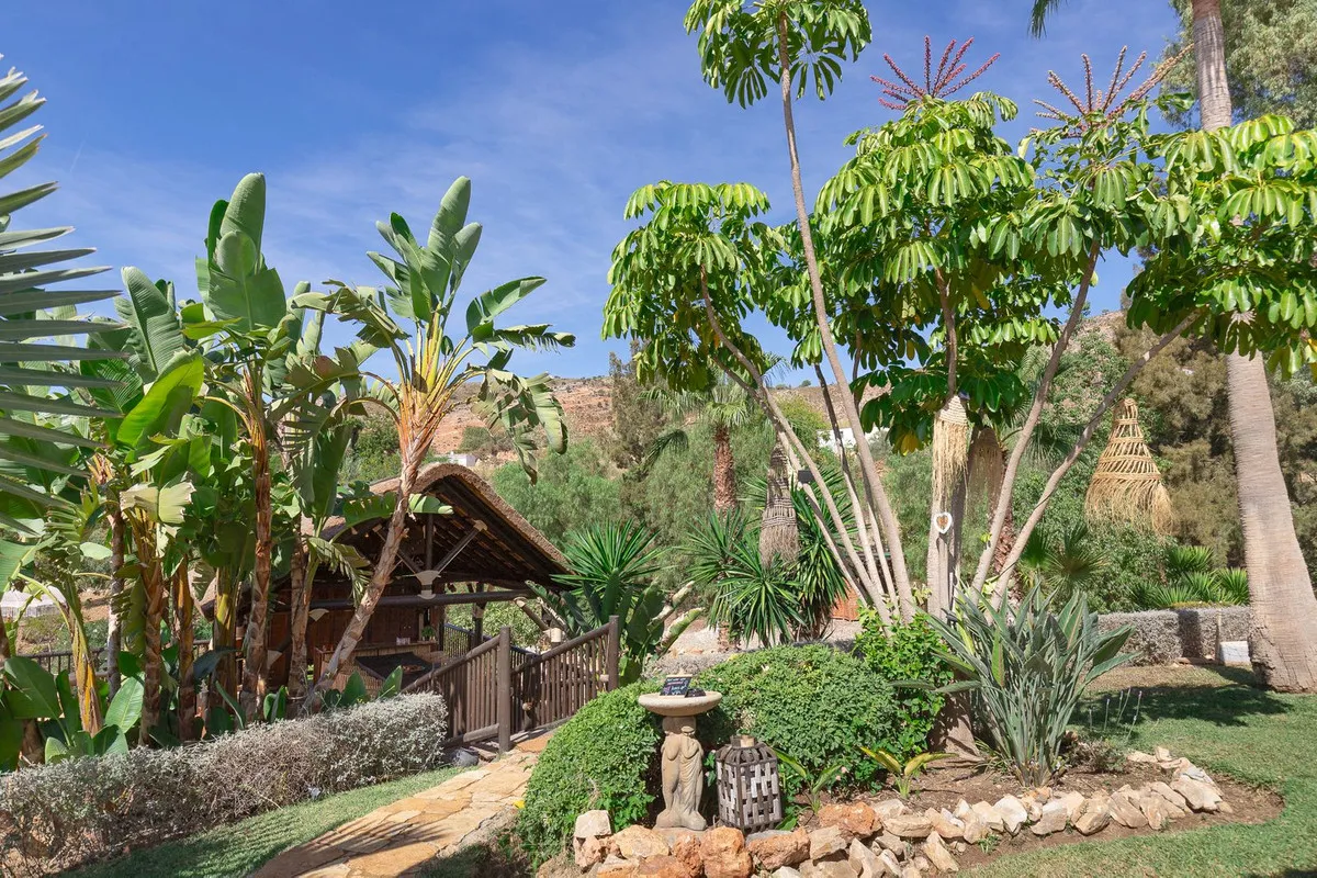 21456c39-8bd3-40d6-afd6-3657ad3ffa77