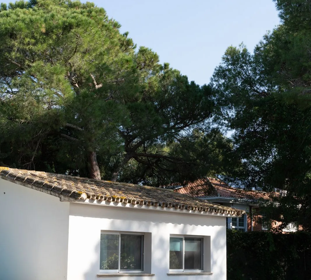 8bcc719a-6ae9-4c9f-8570-75ddba941378