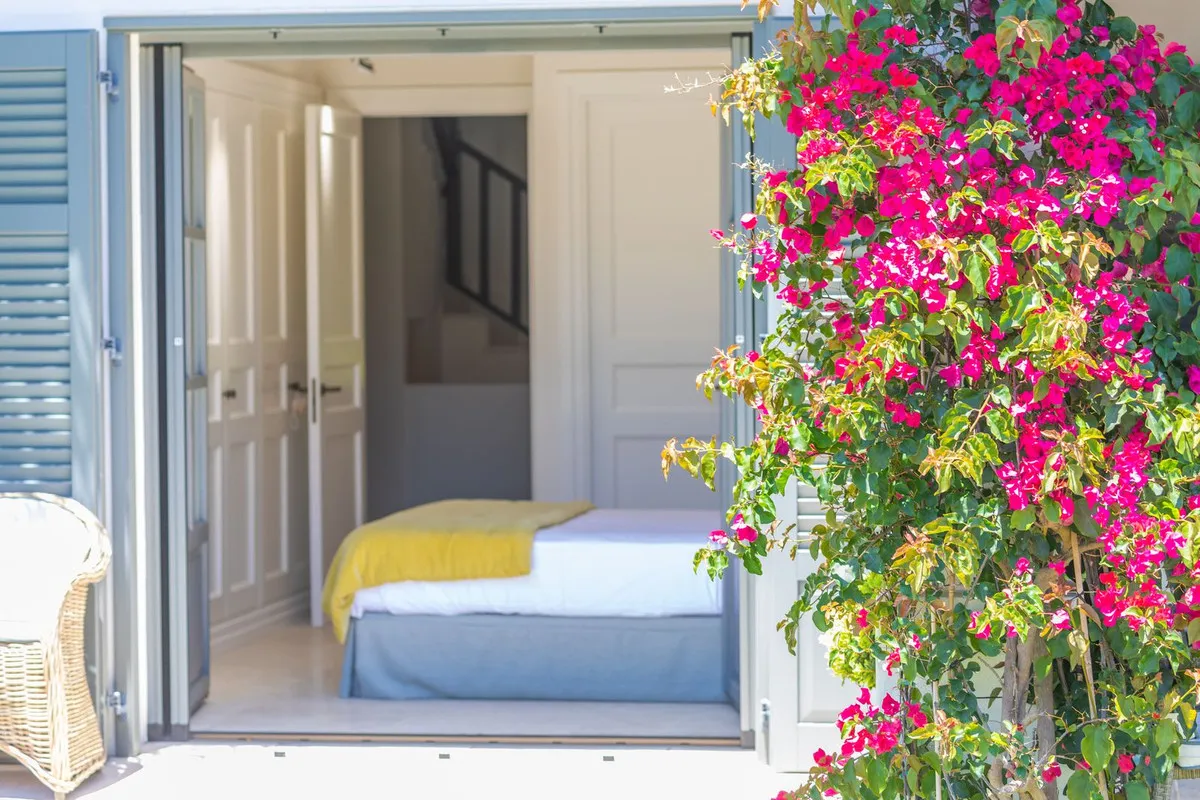 e8fede1e-604e-4aa6-803d-2a70e2728e1f