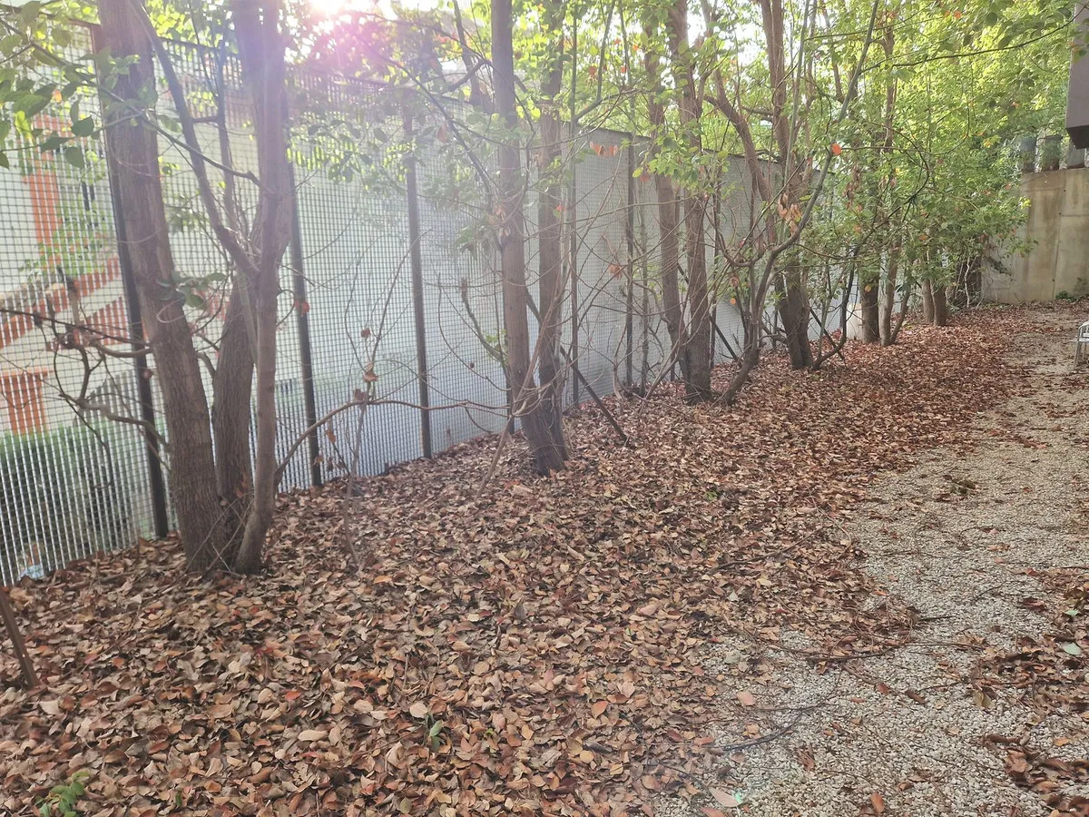 2aef5b67-e2da-4b23-9daa-5ef87cbae4e8