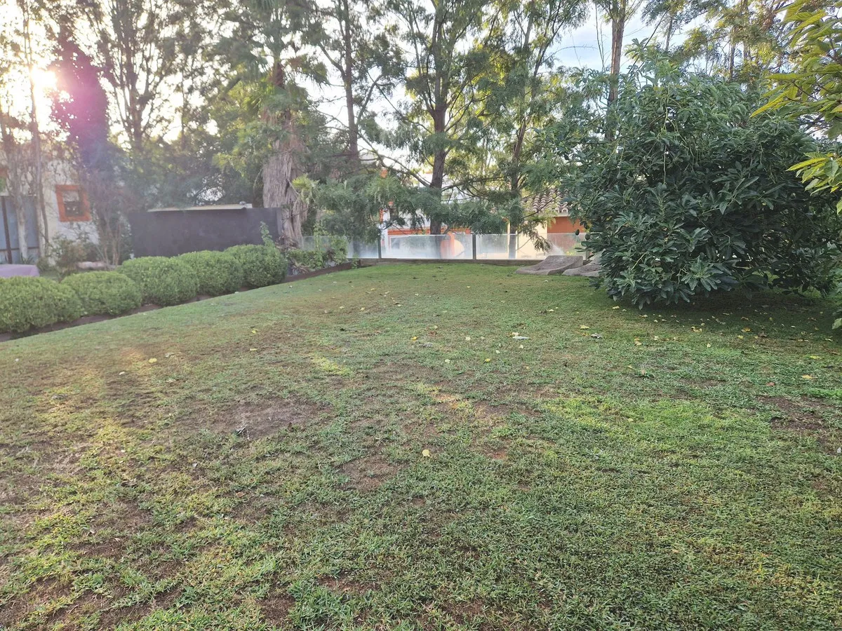 ef805967-5f12-4a72-a1c8-6863c31afc6f